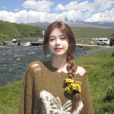 巴迪2013